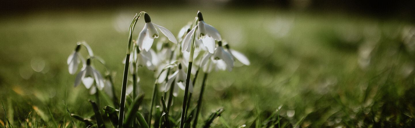blog header